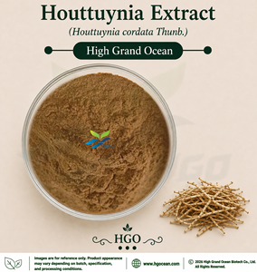 Suministro Directo de Fábrica HGO, Extracto de Houttuynia (Houttuynia cordata) (Grado Alimenticio), Extracto en Proporciones 4:1 5:1 10:1 20:1 100:1 200:1 - Product Image 1
