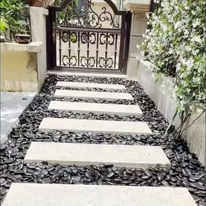 Ciottoli e Sassi Neri da 38 libbre, 2-3 Pollici, Lucidati, Grandi Rocce Naturali di Fiume, Pietre Decorative per Paesaggistica e Riempimento Vasi - Product Image 6