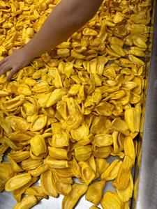 Mejor Precio, Delicioso Jaca Seca Crujiente al Vacío, Sin Aditivos, Dulce, Empacada al Vacío a Granel, Jaca Seca Vietnamita - Product Image 1