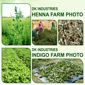 Henné brun prix de gros brun clair henné à base de plantes coloration meilleur fournisseur indien et fabricant certifié iso - Product Image 3