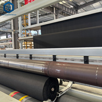 Membrane géotextile en tissu géogéomembrane à excellente performance de filtration 500g/m² pour les projets de drainage et de lutte contre l'érosion