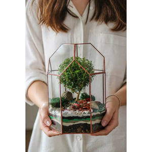 Terrario de Vidrio Irregular Hecho a Mano, Geométrico, Negro, con Base de Cobre, para Plantas Aéreas, Decoración del Hogar - Product Image 4