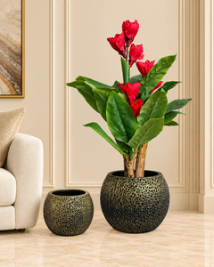 Macetas Decorativas de Hierro Ecológicas de Primera Calidad con Acabado de Recubrimiento en Polvo para Proveedores de Jardinería al por Mayor - Product Image 3