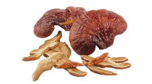 Polvo de Extracto de Hongo Reishi Puro Marrón Oscuro para Uso en Té, Polvo de Extracto de Hongo Reishi 4oz / 5.5oz ANGLE - Product Image 5