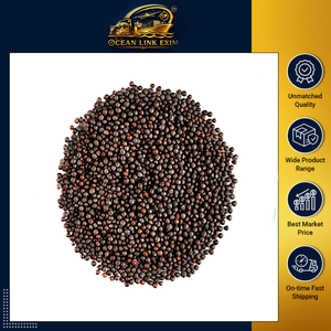 Graines de moutarde noire entières séchées, épice brute, qualité alimentaire naturelle, herbe unique, forme ronde, haute qualité, fournisseur en vrac pour l'exportation - Product Image 2