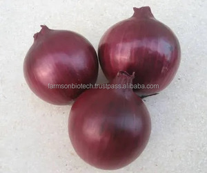 FB-BASIRA (5440) Graines d'<span class=keywords><strong>oignon</strong></span> rouge foncé biologique non-OGM, pollinées à l'ouverture, bulbes frais Farmson Biotech - Product Image 4