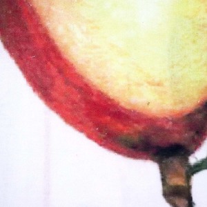 Nouvelle conception, serviette de cuisine imprimée de qualité supérieure, 100 % coton, super absorbante, à prix abordable - Product Image 4