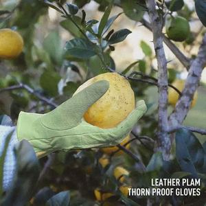 ราคาถูกคุณภาพสูงความปลอดภัยมือป้องกันขายส่งถุงมือสวนงานหนักถุงมือขับรถสวน - Product Image 4