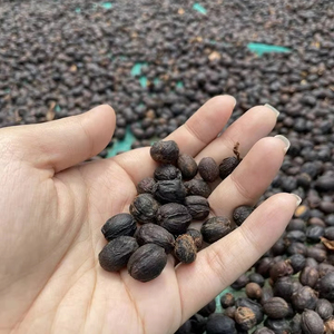 Nueva Cosecha de Granos de Café Verde Arábica Vietnamita Catimor, Procesamiento Natural - Product Image 2