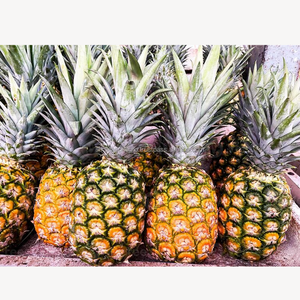 Piña Fresca Premium, Fruta Tropical Dulce, Calidad de Exportación, Proveedor Mayorista a Granel de Bangladesh, Six Season Agro - Product Image 2