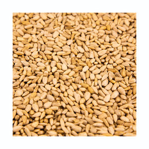 Semillas de girasol a precio económico, suministro al por mayor, entrega rápida, snack saludable - Product Image 2