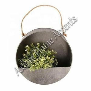 Axiom Home Accents Diseño contemporáneo Espacios interiores Maceta decorativa en forma de estrella Maceta para flores Plantas para uso en el jardín - Product Image 5