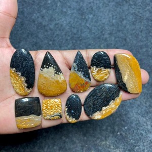 Pierres précieuses de racine de palmier fossilisées naturelles de haute qualité, cabochons de formes variées, pierres précieuses en vrac pour la fabrication de bijoux - Product Image 2