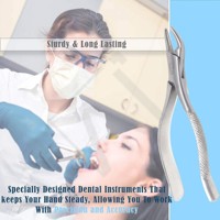 Alat Ekstraksi Gigi Manual Stainless Steel Accuram Wholesale untuk Penggunaan Profesional Bersertifikasi CE Kelas I Instrumen Ergonomis