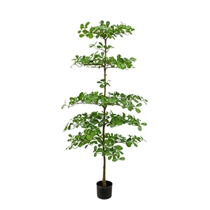 Offerta <span class=keywords><strong>Online</strong></span>: Albero di Ulivo Artificiale in Plastica, Bucida Buceras Shady Lady in Vaso, Decorazione Verde di Lusso per Casa, Ufficio e Pasqua - Product Image 4