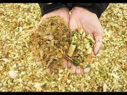 Repollo seco barato de alta calidad de Vietnam - Product Image 5