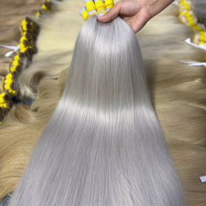 Extensiones de Cabello Humano 100% Virgen Vietnamita 613ASH, Doble Trama, de la Mejor Calidad, en Paquetes - Product Image 1