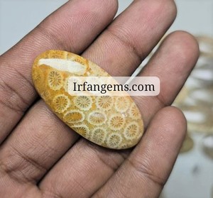 Lot de cabochons en corail fossile 100 % naturel, pierres précieuses polies pour la fabrication de bijoux, l'artisanat thérapeutique et les commandes personnalisées - Product Image 2