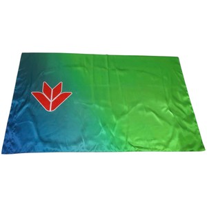 Drapeau rectangulaire en polyester imprimé sur mesure avec logo vert et jaune - Product Image 2