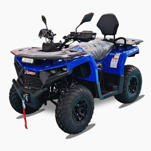 Quad tout-terrain Chithan DIY pour adultes, 4 roues, >300cc, 4 temps, 4x4, boîte de vitesses automatique, blocage de différentiel, ODM, 75-100 km/h, garantie 3 ans - Product Image 1