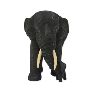 Posavasos y Salvamanteles de Madera de Teca Ecológicos con Diseño Tradicional Chino, con Tapa y Cuchara, OEM, Personalizados, Venta al Por Mayor |   Aqudus Saleem India - Product Image 1