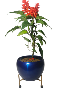 Macetas Redondas de Metal Meena con Soporte Decorativo de Metal, Macetero Floral Hecho a Mano, Adorno Decorativo para el Hogar - Product Image 4