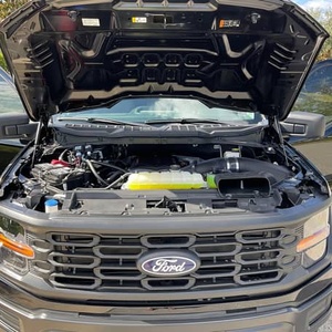 Miglior Offerta USATO 2024 <span class=keywords><strong>Ford</strong></span> F-150 XL <span class=keywords><strong>4x4</strong></span> - Product Image 6