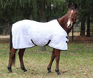 Manta de Lana para Caballo de Alta Calidad, Gruesa, Cálida, Impermeable y Resistente al Viento, para Invierno, Personalizable - Product Image 2