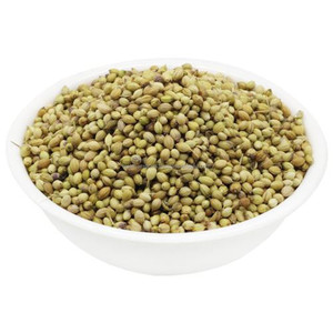 Coriandrum Sativum Semilla de cilantro Dhaniya Semilla entera Dhaniyaa Sabut Beej Especias indias tradicionales - Product Image 3