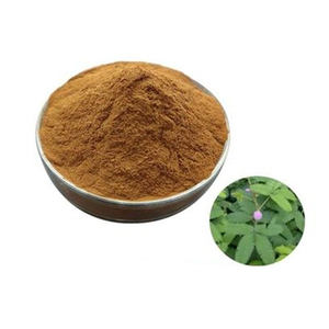 Poudre de henné premium, naturelle, à base de feuilles de henné, pure, finement moulue, pour les soins capillaires, le body art et les produits de beauté. - Product Image 4
