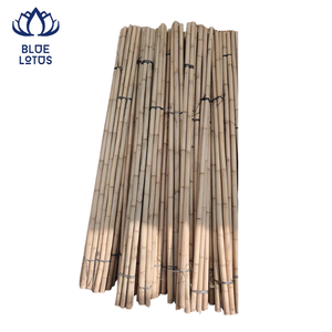 HIGH QUALITY Durable Sustainable <b>Bamboo</b> Poles Hot Selling Premium Grade Eco Friendly Plant Support Poles Agriculture Wholesale - Product Image 1