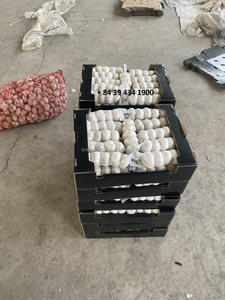 กระเทียมสดขาวธรรมชาติกระเทียมออร์แกนิกสำหรับส่งออก (WA + 84 36 680 8683) - Product Image 4
