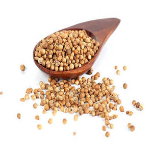 Semillas de Dhania Indias de Alta Calidad de Nueva Temporada para Fabricantes de Especias, Procesadores de Alimentos y Venta al por Mayor Internacional - Product Image 3