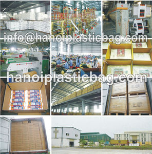 Biodegradable Recyclable PE T-Shirt <b>Bags</b> Gravure Printing <b>Heat</b> <b>Seal</b> Hanoi Plastic Brand-Sustainable Packaging Solution for - Product Image 2