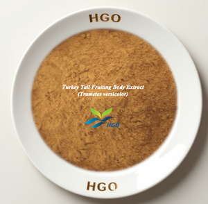 Suministro Directo de Fábrica HGO de Extracto Puro de Cuerpo Fructífero de Cola de Pavo (Trametes versicolor) Grado Alimenticio en Proporciones 5:1, 10:1, 20:1 - Product Image 1