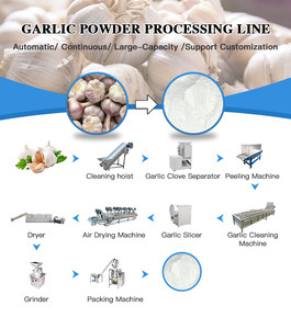 Ligne de production sèche d'ail pour la production de poudre d'ail entièrement automatique - Product Image 3