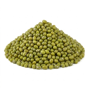 Haricots Mungo Verts Premium 99% Purs, Graines de Haricots Mungo de Qualité Alimentaire pour la Germination, la Soupe et les Aliments Sains, Approvisionnement Export - Product Image 1