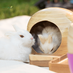 Handcrafted Bamboo <b>Pet</b> Kennel Cage Eco-Friendly Bamboo Dog and Cat <b>House</b> for Indoor and Outdoor Use - Product Image 1