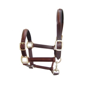 Top vente léger anglais selle-Style cheval licou doux rembourré cuir laiton matériel accessoires occidentaux pour les soins des chevaux - Product Image 3