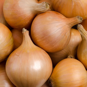Creamgold Onion Seeds HEIRLOOM <b>VEGETABLE</b> SEEDS Cream gold Onion Seeds - Product Image 4