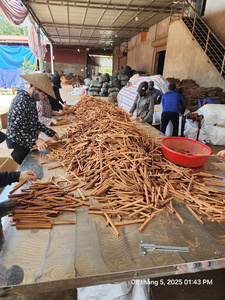 Varillas de Canela Cassia de Vietnam de 6-10 cm, Varillas Naturales Marrones para Supermercados, Tiendas de Especias y Fabricantes de Alimentos - Product Image 5