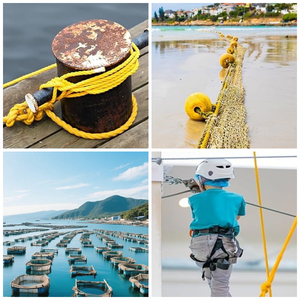 Cuerda Trenzada <span class=keywords><strong>de</strong></span> Polipropileno Amarilla en Rollo, 3 <span class=keywords><strong>y</strong></span> 4 Hebras, Cuerda Trenzada <span class=keywords><strong>de</strong></span> PP Mono, PP Danline para Uso Marino, Jardinería Diaria - Product Image 4