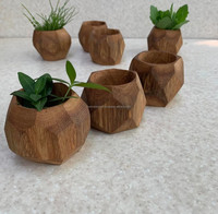 Pot Bunga Kayu Warna-warni Ringan Tahan Lama Buatan Tangan Ramah Lingkungan Desain Taman Dapat Disesuaikan Warna dan Ukuran Pamerkan Koleksi Anda