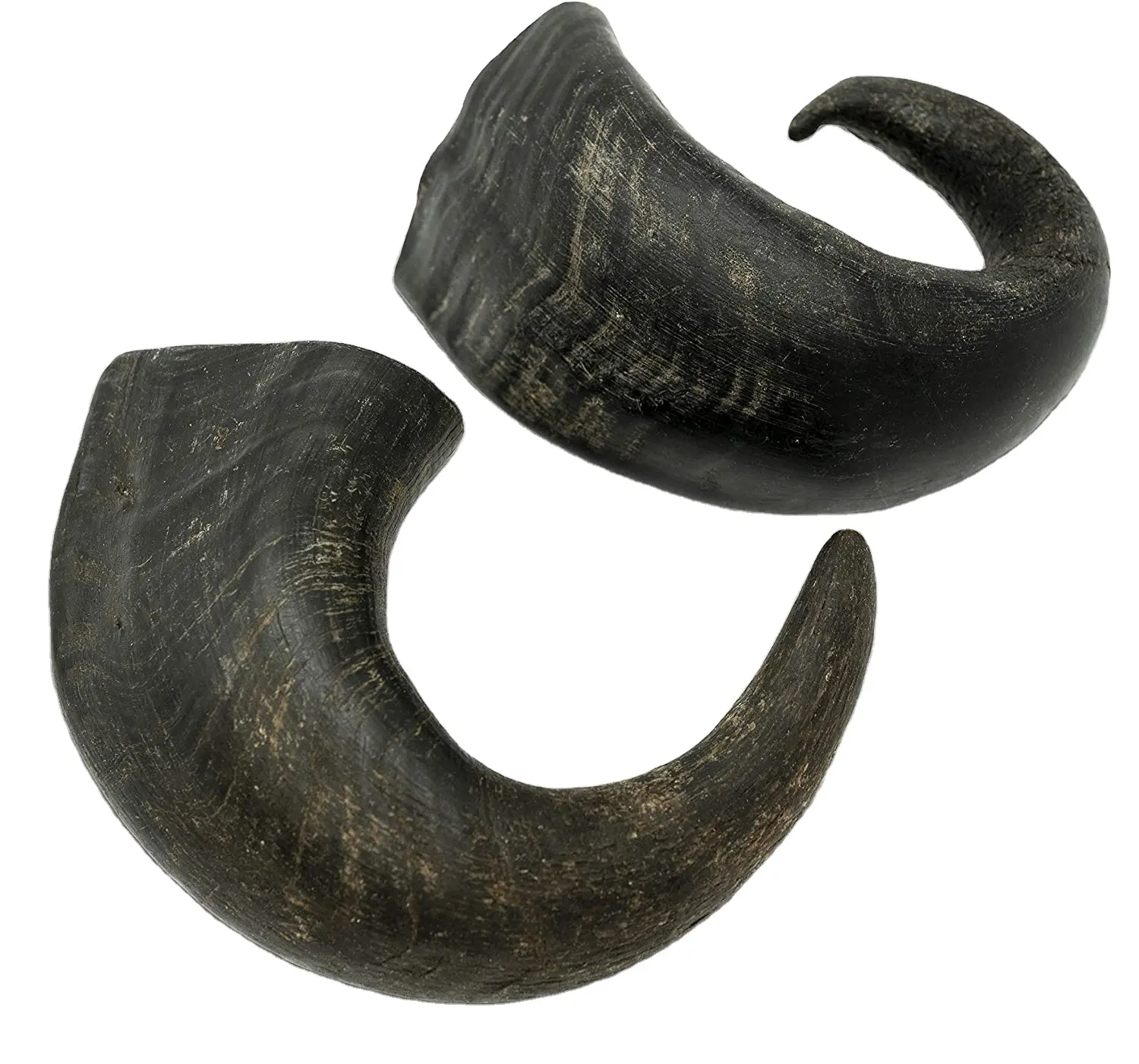 BEST QUALITY WATER BUFFALO HORN PET FOOD FOR DOG CHEW