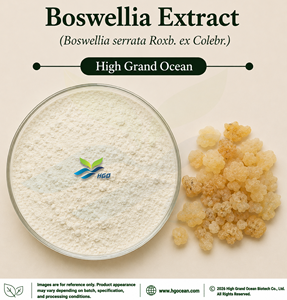Extrait de Boswellia (Boswellia serrata Roxb.) fourni directement par l'usine HGO ex Colebr.) (De qualité alimentaire) Rapport 4:1 5:1 10:1 20:1 100:1 - Product Image 1