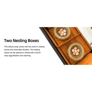 Pollaio in Legno da Esterno con 7 Porte, Vassoio Estraibile, Nido e Rampa - Casetta per Polli da Giardino per 2-4 Galline - Product Image 4