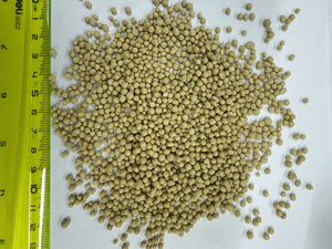 ปุ๋ยฟอสเฟตแบบเม็ด VIETGRO DAP 16-45 สีเหลือง ปลดปล่อยสารอาหารแบบควบคุม สำหรับการเกษตร จากเวียดนาม - Product Image 3