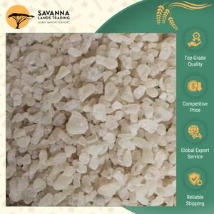 Proveedor Principal de Indonesia que Vende Goma Damar Natural Seca de Alta Calidad a Precios Mayoristas Competitivos - Product Image 2