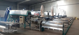 Chaîne de production de noix de cajou de marque TTQ, capacité de 100 tonnes/jour, en acier inoxydable de qualité alimentaire, Vietnam, Ho Chi Minh City, 380V, garantie 1 an - Product Image 3