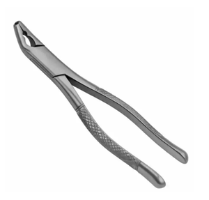 Forceps d'extraction dentaire de haute précision, réutilisables, en acier inoxydable, instrument chirurgical d'extraction - Product Image 2